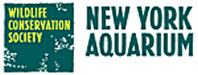 New York Aqaurium 品牌