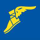Goodyear Tires 品牌