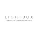 Lightbox Jewelry 品牌
