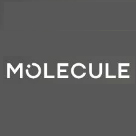 Molecule 品牌