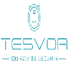 Tesvor 品牌